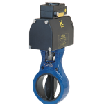Keystone Figure 637 Slurry Control Valve